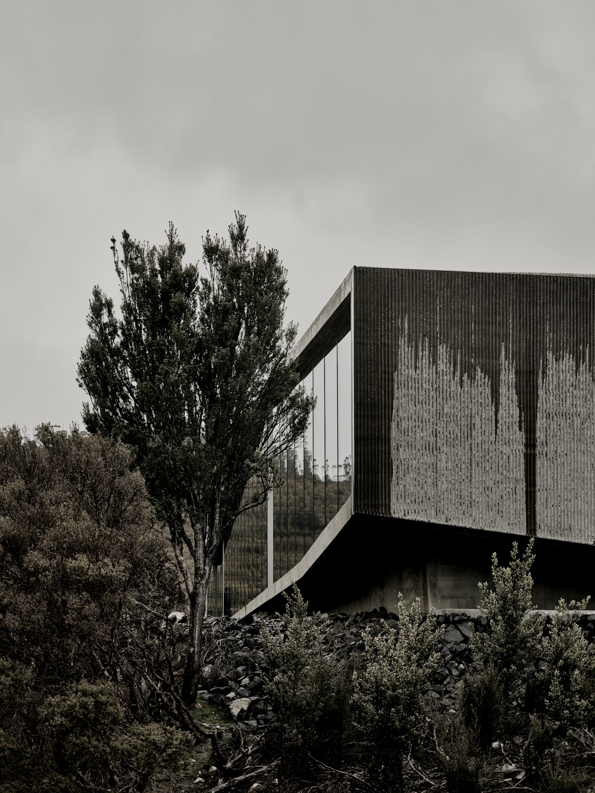 The concrete volume of Kitayama House cantilevered over the trees.