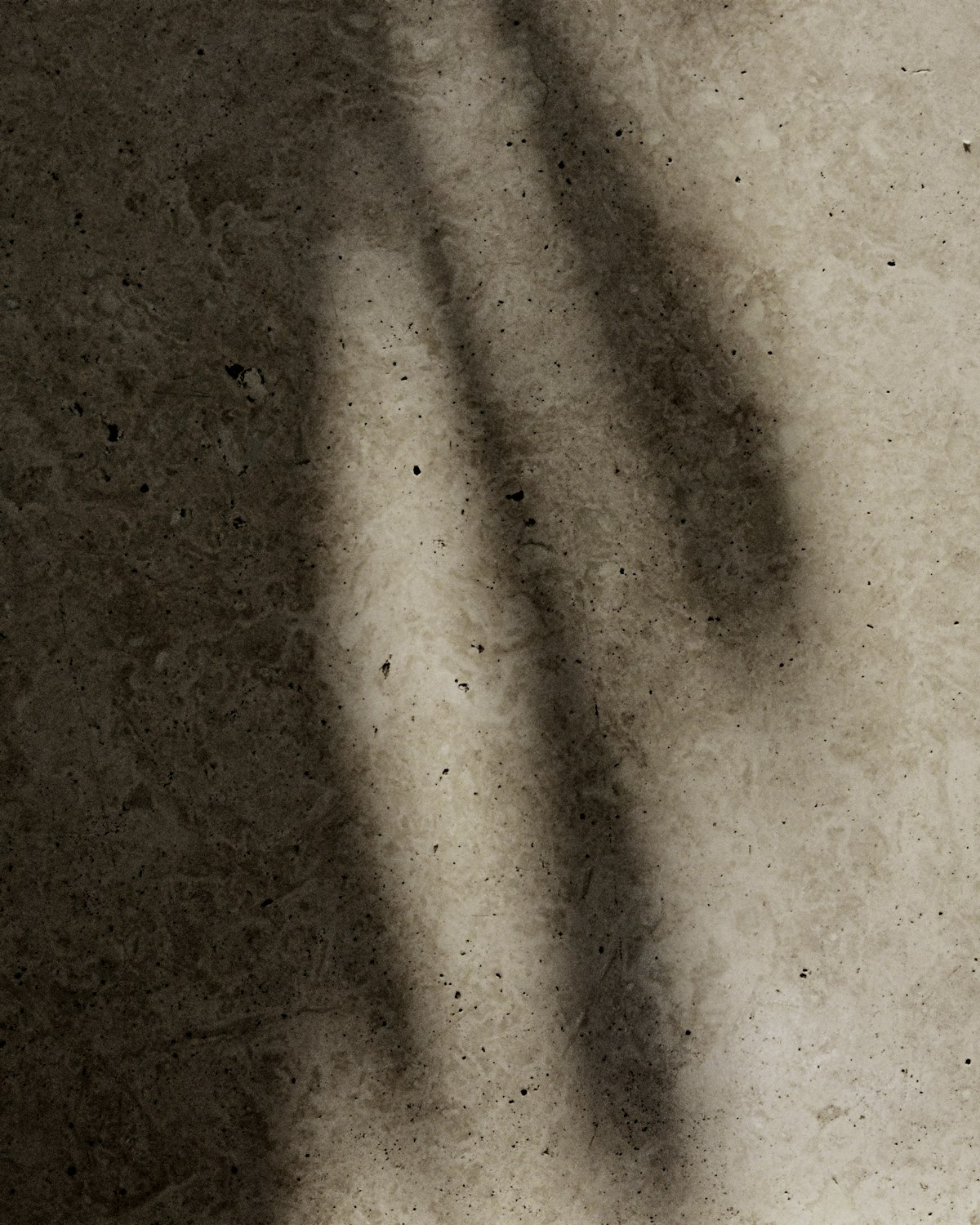 Pale lime plaster crossed by soft shadows.
